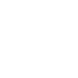 service-icon